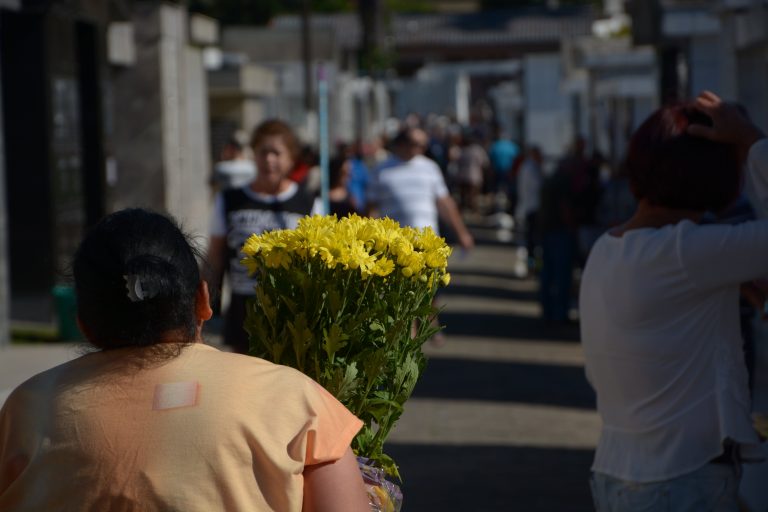 Dicas para evitar doenças e perigos nos cemitérios neste Dia de Finados