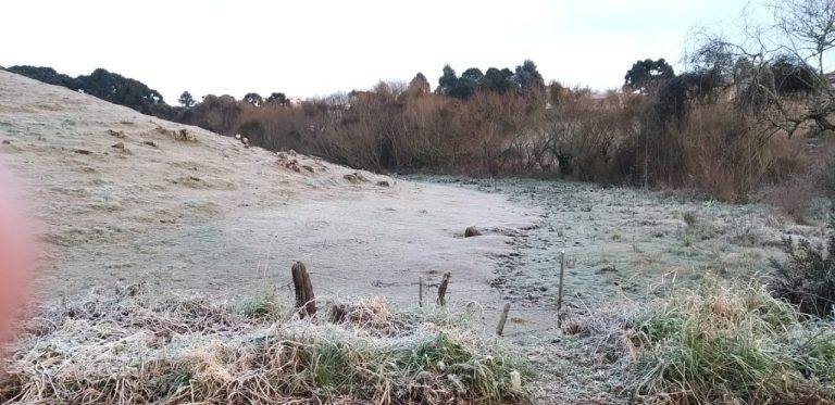 Neve e temperaturas negativas em Santa Catarina