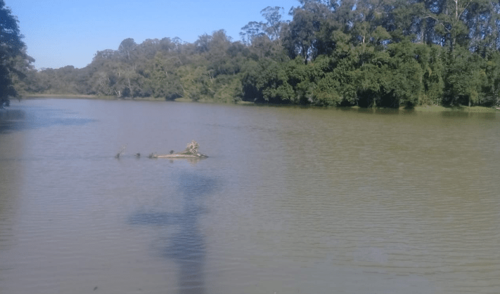 Araranguá: Samae informa população a respeito da coloração da água