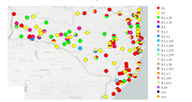 Distribuição das linhagens detectadas em Santa Catarina – Foto: Dive/Divulgação/ND