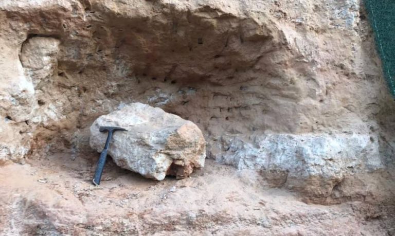 Nacional: Fóssil de dinossauro é encontrado no interior de SP