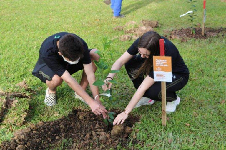 Indústria carbonífera trabalha alinhada ao Desenvolvimento Sustentável