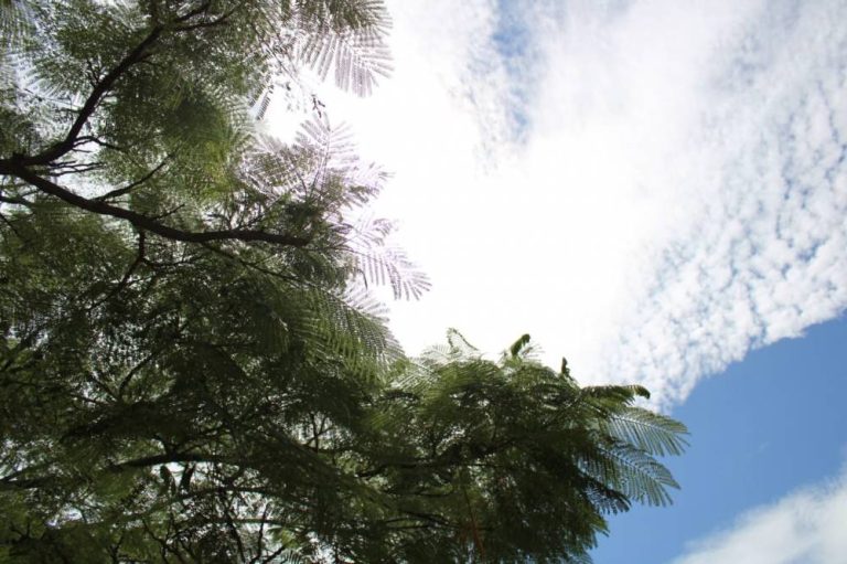 Onda de calor traz temperaturas de 40ºC em SC