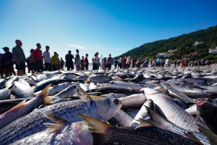 Foto: Ricardo Wolffenbüttel /Secom