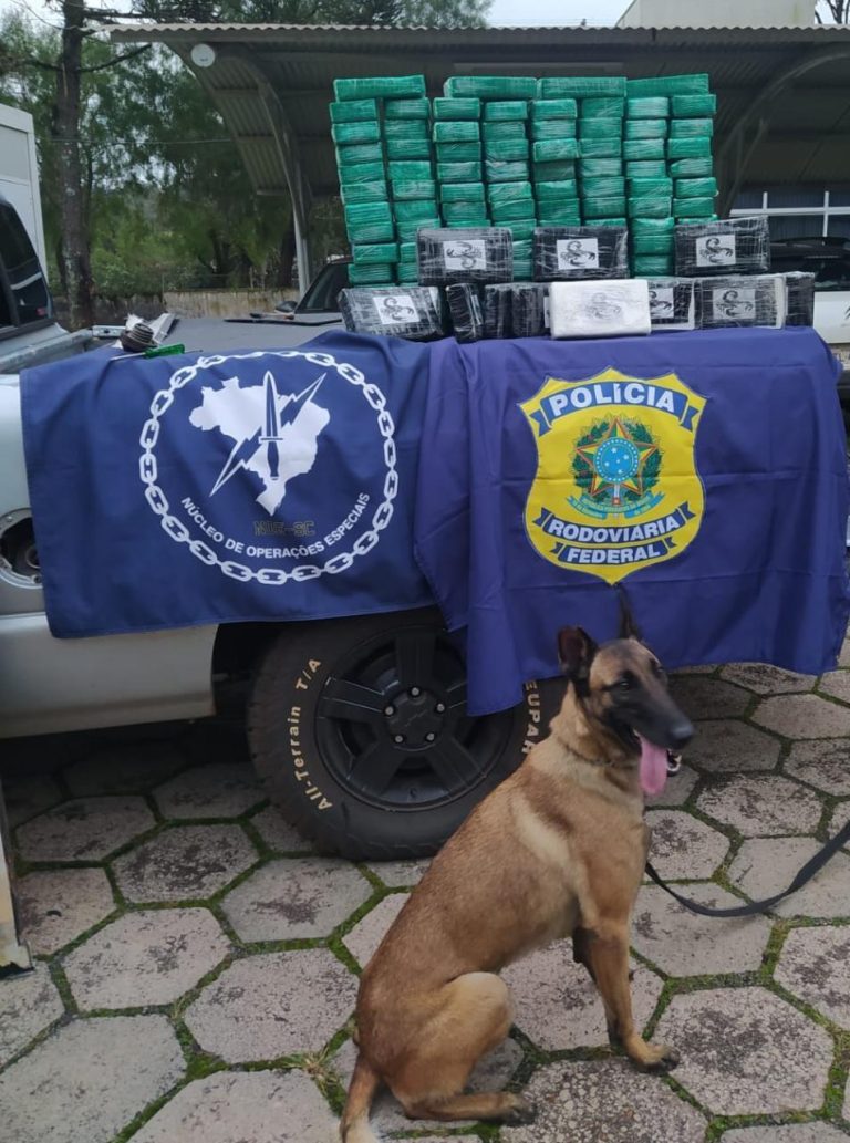 PRF apreende carga milionária de cocaína na BR-480 em Chapecó