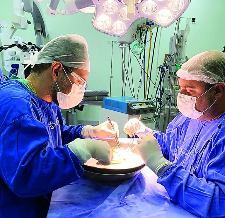 Santa Catarina alcança 1,7 mil transplantes em um ano