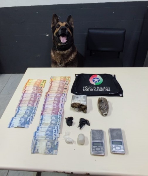 PM flagra tráfico de drogas em Criciúma