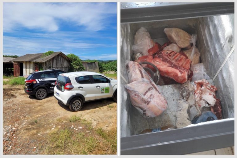 Operação contra abatedouros clandestinos apreende carnes na região