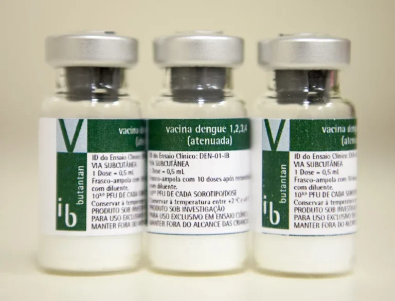 Santa Catarina está fora da primeira remessa de vacinas contra a dengue