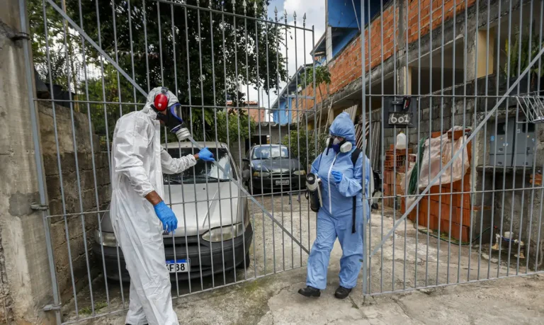 São Paulo está perto de atingir índice epidêmico de dengue