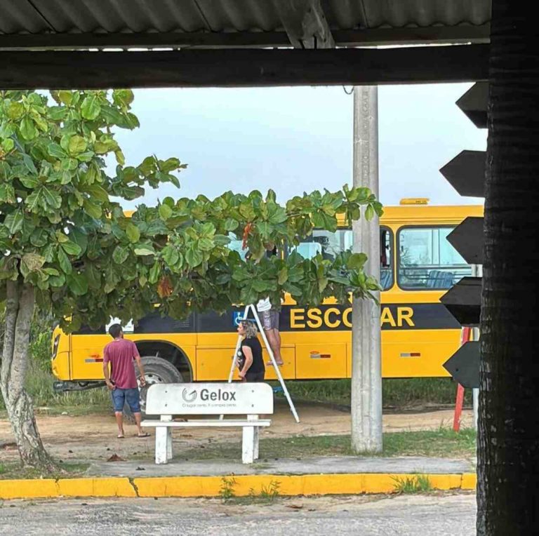 Laguna: Menina é esquecida pelo motorista dentro de ônibus escolar