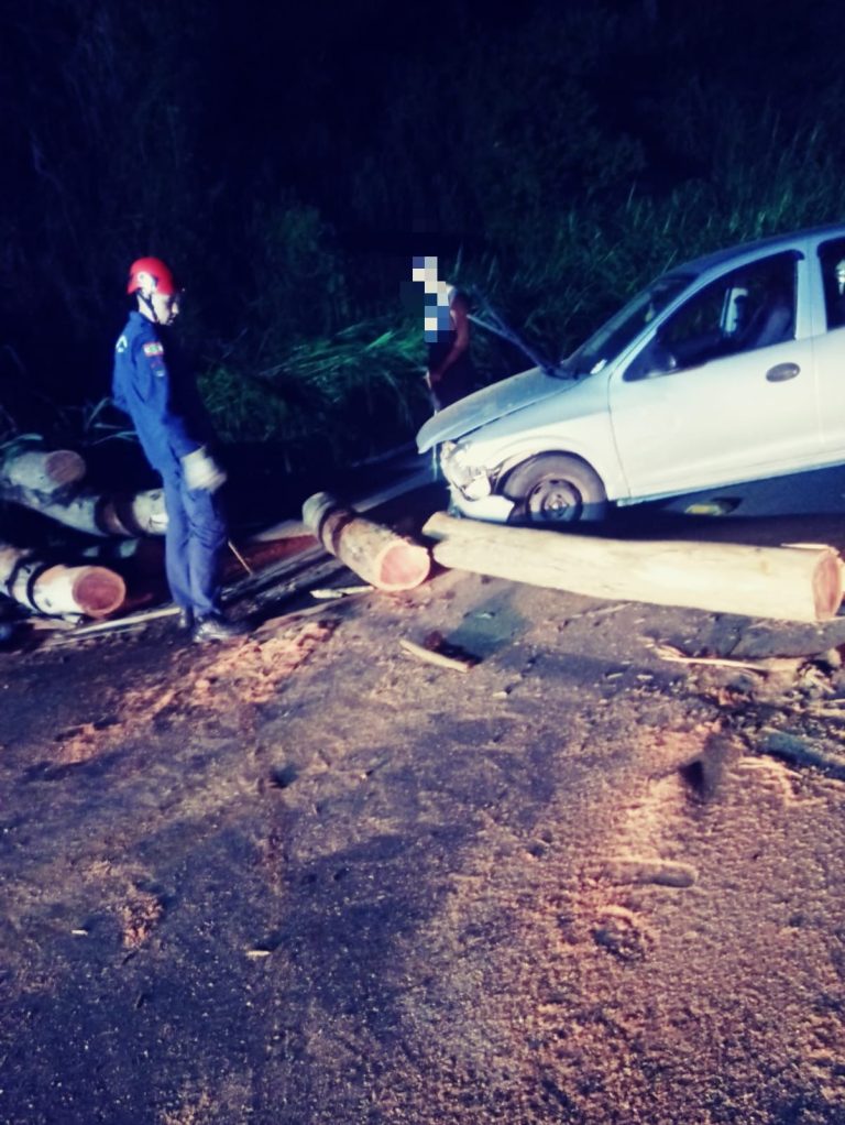 Urussanga: queda de árvore em rodovia atinge carro e deixa mulher ferida