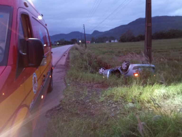 Homem capota o carro após se desviar de animal na pista