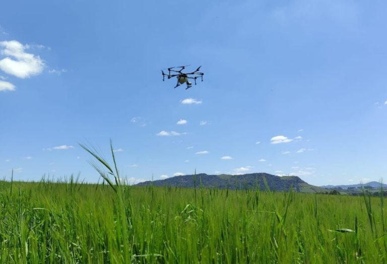 Prestadores de serviços com drones pulverizadores devem ser autorizados