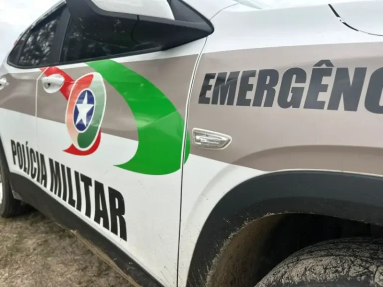 Idoso é preso após matar cão a facada em Criciúma