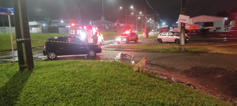 Cão “acompanha” atendimento de idoso morto após atropelamento em Criciúma