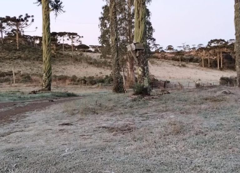 Urupema registra -7,2°C e tem a menor temperatura do ano