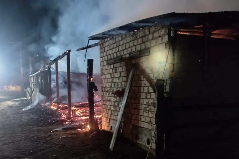 Incêndio provoca prejuízo a produtor de fumo em Orleans