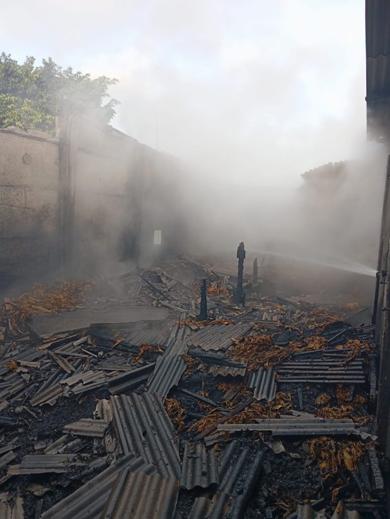 Estufa é destruída em incêndio em Sombrio