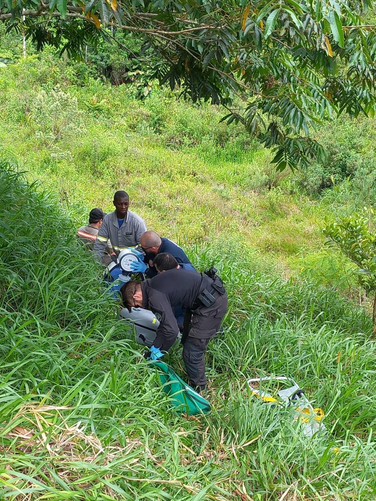 Homem morre após ser picado por inseto em Treviso