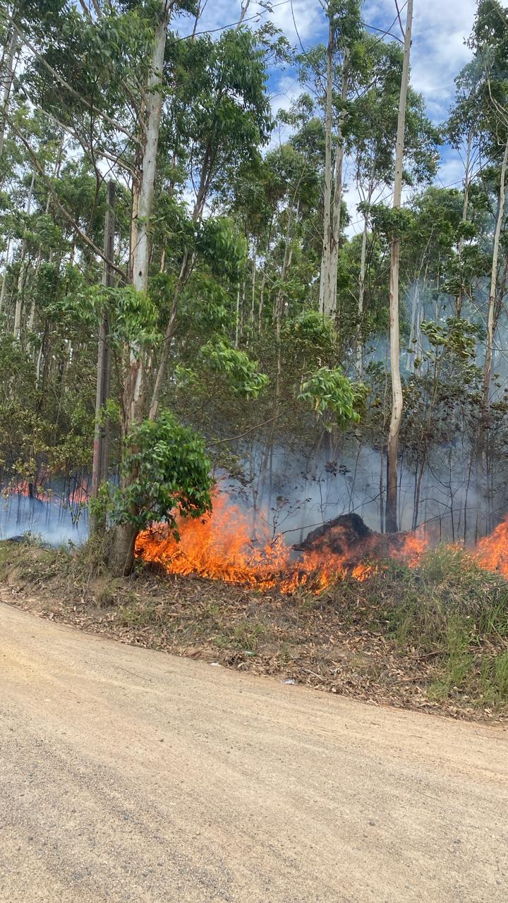 Bombeiros combatem incêndio em vegetação no Sangão