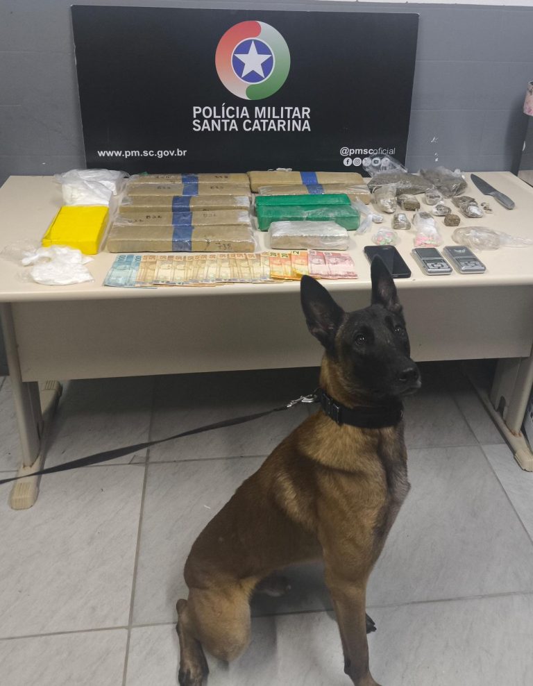 PM realiza mais apreensões de drogas em Criciúma