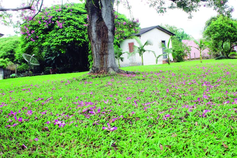 Outono deve registrar temperaturas acima da média em Santa Catarina