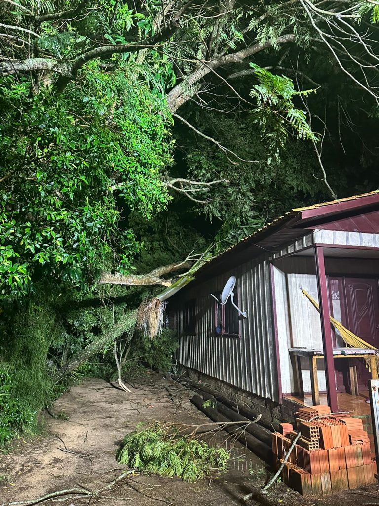 Queda de árvore danifica casa em Araranguá