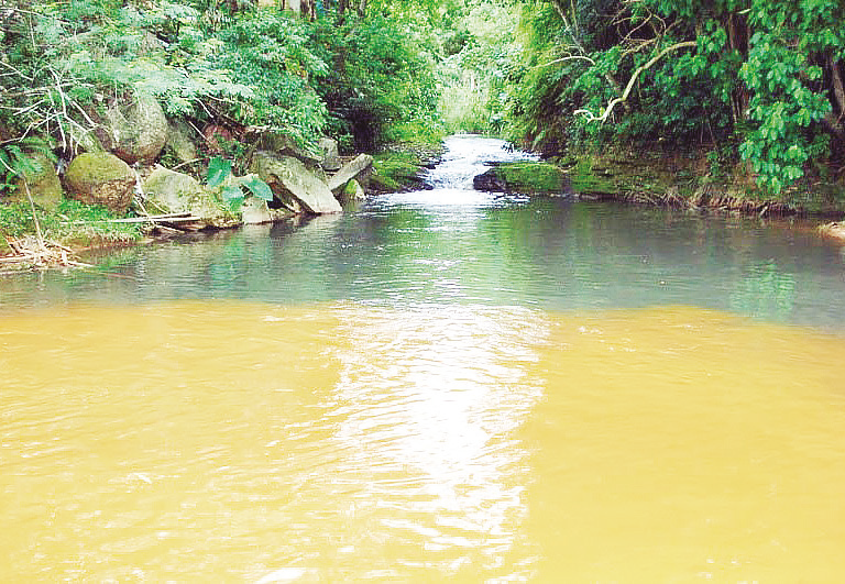 Água em risco e governança na bacia do Rio Urussanga