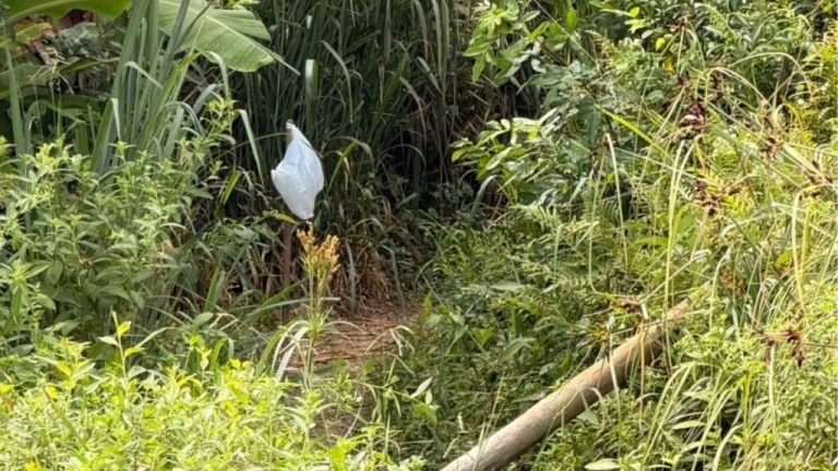 Pai e filha morrem após possível choque elétrico durante trilha