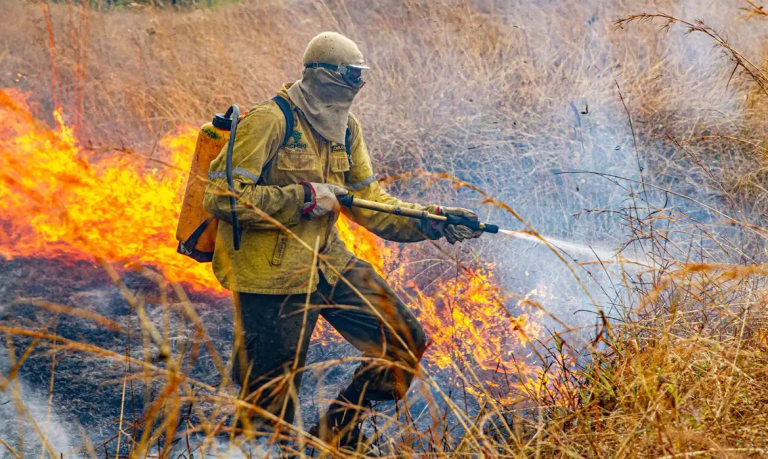 Planejamento para combater incêndios é divulgado pelo Governo