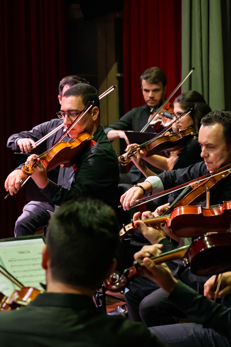 Camerata de Venezia chega a Meleiro com concerto “Harmonias Atemporais”