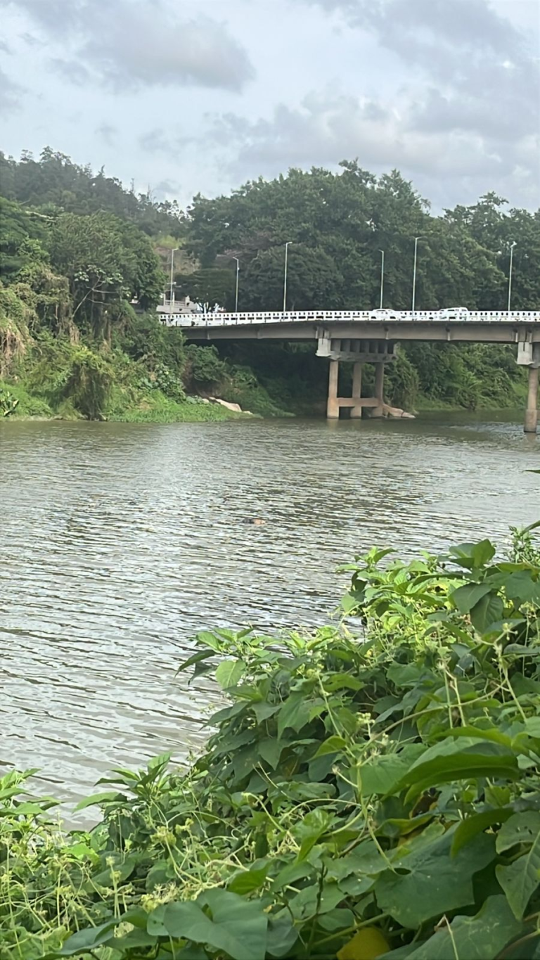 Cadáver é encontrado boiando no Rio Tubarão