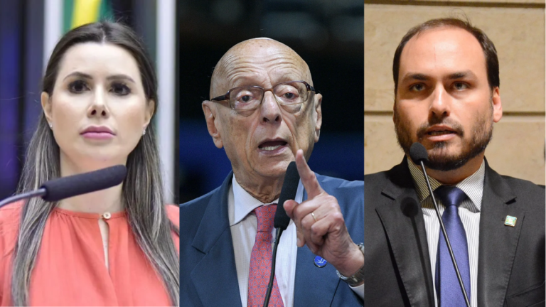 Pesquisa aponta Carol de Toni na liderança para Senado de SC