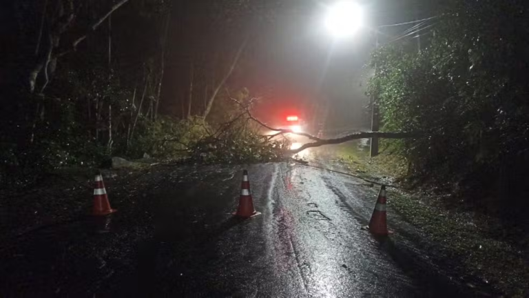Chuva cancela aulas e deixa cidades alagadas em Santa Catarina