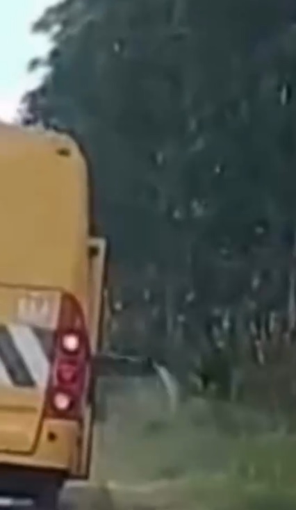 Ônibus usado para pulverização gera repercussão em Forquilhinha