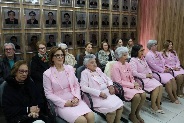 Câmara celebra 35 anos da Rede Feminina de Combate ao Câncer de Içara