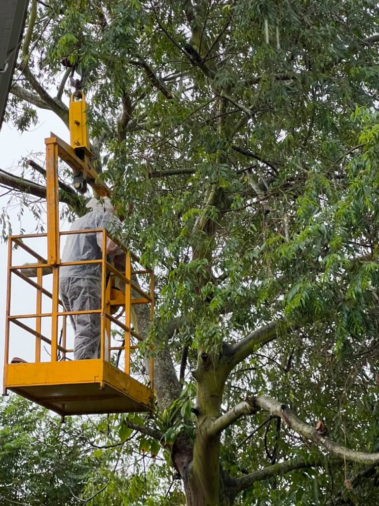 Içara reforça manutenção nas escolas para minimizar impactos do El Niño
