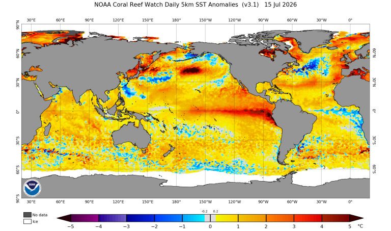 Agência climática prevê 90% de chance de El Niño muito forte