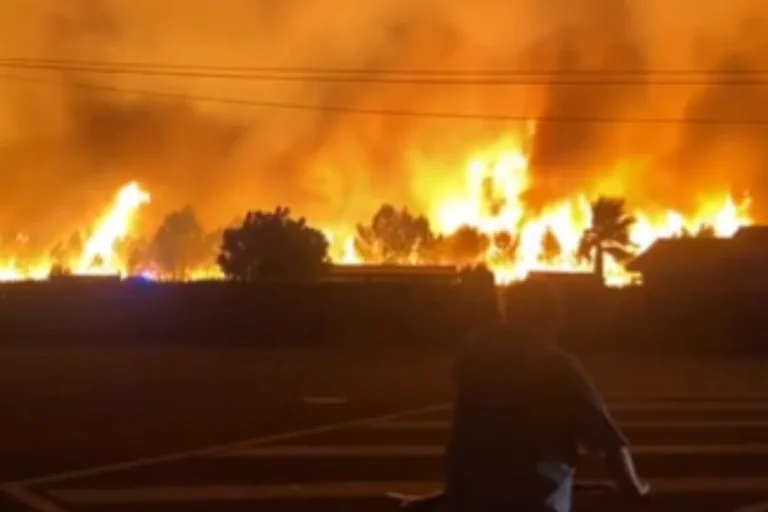 Calor extremo intensifica incêndios florestais na Espanha e na França
