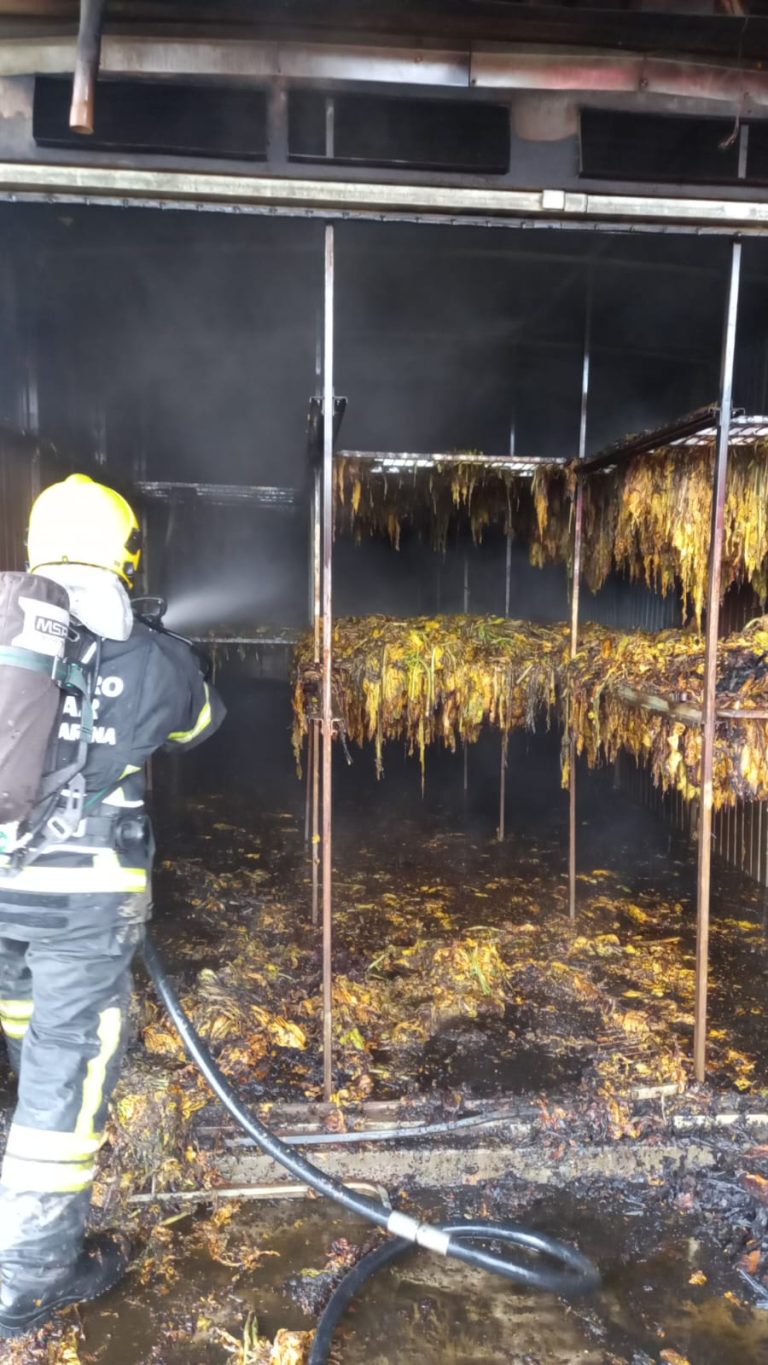 Estufa de fumo é atingida por incêndio em Maracajá