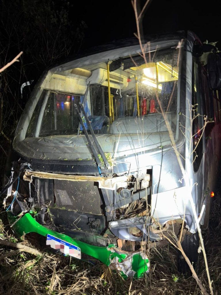 Micro-ônibus sai da pista após desviar de buraco e deixa três feridos em SC