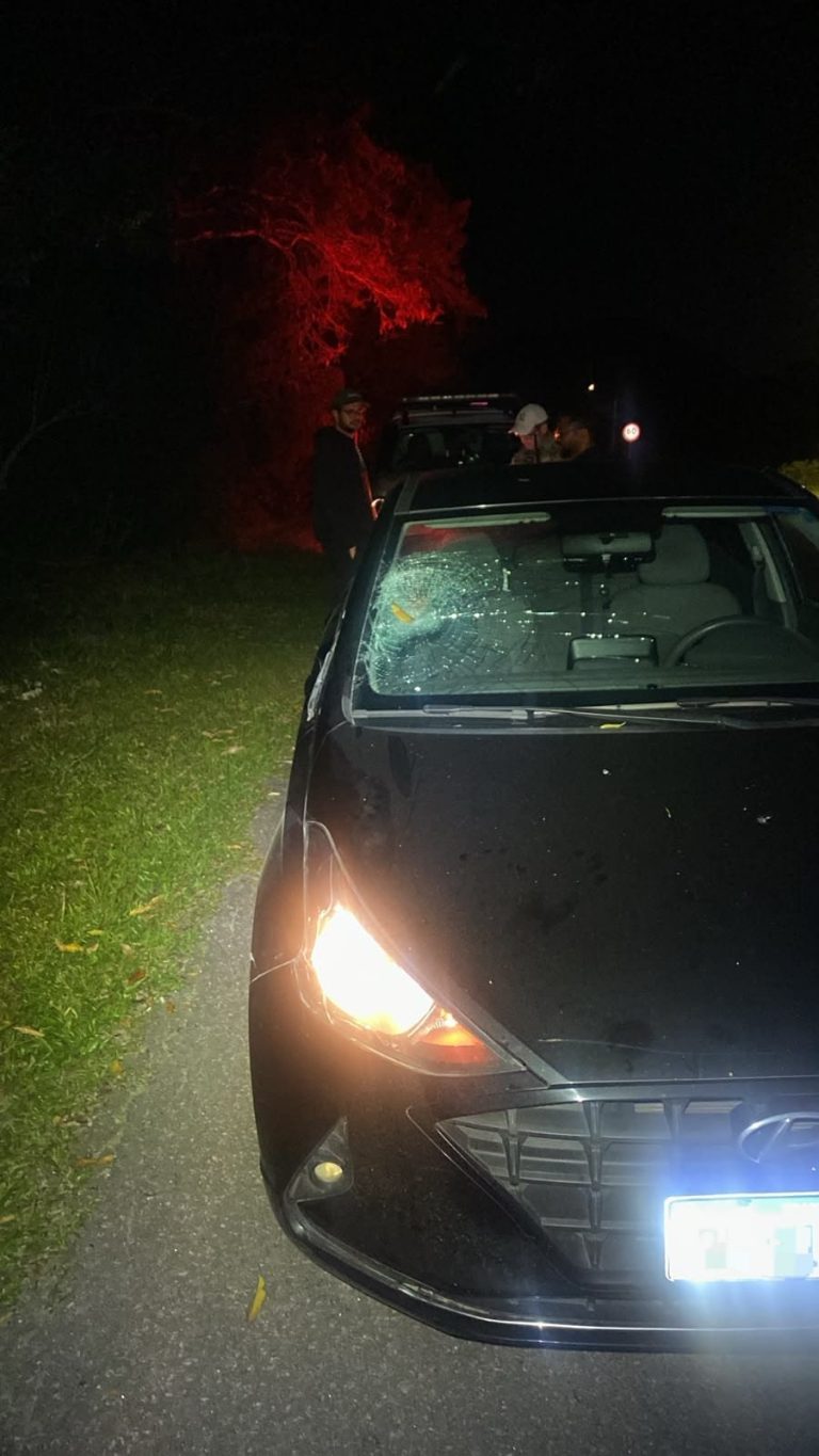 Homem sofre traumatismo craniano após ser atropelado na SC-402