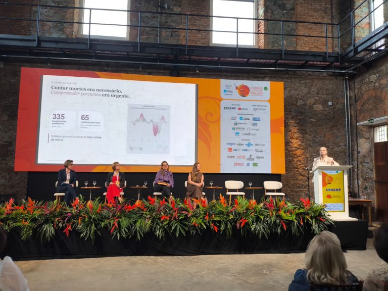 Mapa do Feminicídio é ferramenta de prevenção em painel sobre direitos