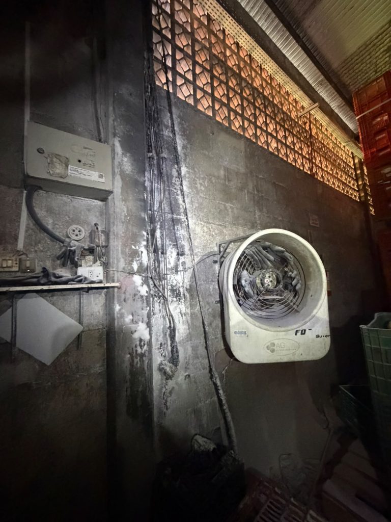 Incêndio atinge empresa de processamento de frutas em Içara