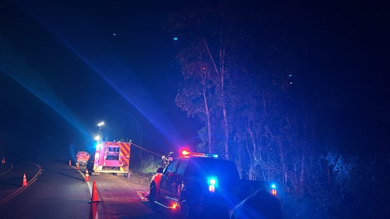 Motociclista desaparecido é encontrado morto em área de mata na SC-418