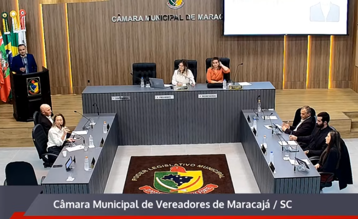 Vereadora diz que cargo “não é fácil” ao defender auxílio de R$ 1,8 mil