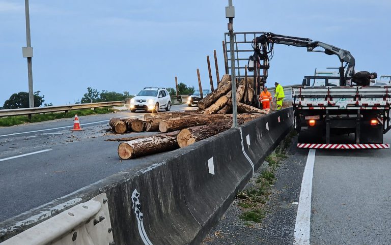 Carga de toras de madeira cai de caminhão e interdita BR-101 em Araranguá
