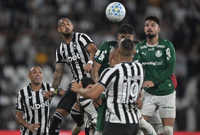 Botafogo x Palmeiras pelo Brasileirão