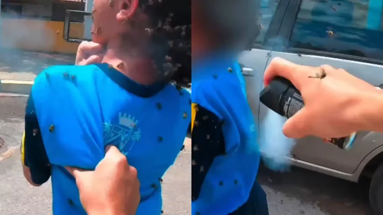 Menina atacada por abelhas em MG está estável, mas sem previsão de alta